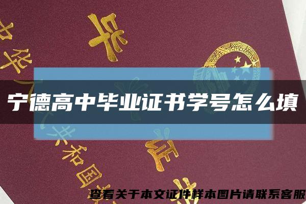 宁德高中毕业证书学号怎么填缩略图