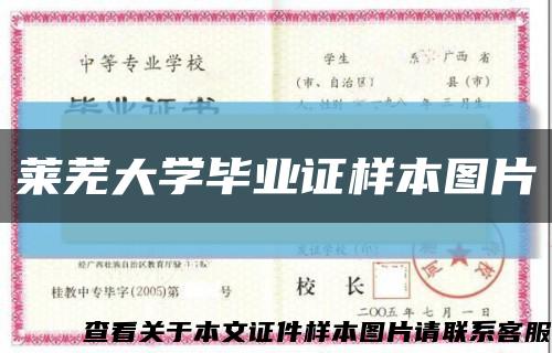 莱芜大学毕业证样本图片缩略图