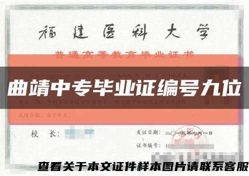 曲靖中专毕业证编号九位缩略图