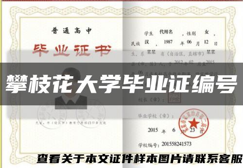 攀枝花大学毕业证编号缩略图