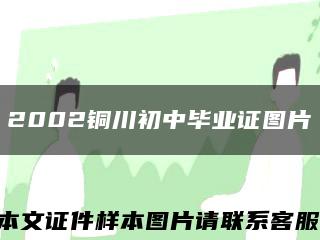 2002铜川初中毕业证图片缩略图