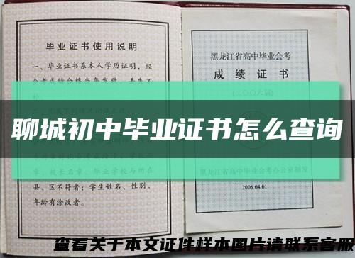 聊城初中毕业证书怎么查询缩略图