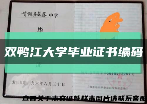 双鸭江大学毕业证书编码缩略图