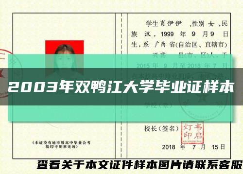 2003年双鸭江大学毕业证样本缩略图