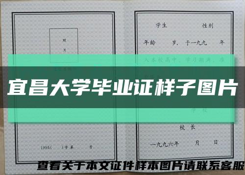宜昌大学毕业证样子图片缩略图