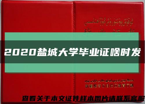 2020盐城大学毕业证啥时发缩略图