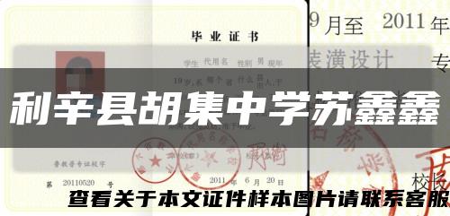 利辛县胡集中学苏鑫鑫缩略图