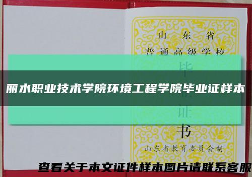 丽水职业技术学院环境工程学院毕业证样本缩略图