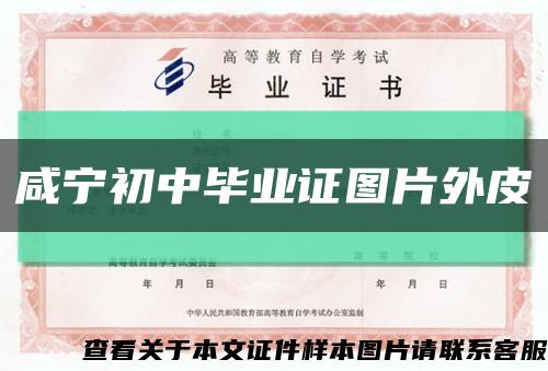 咸宁初中毕业证图片外皮缩略图