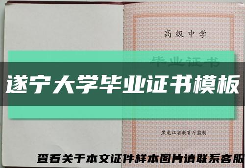 遂宁大学毕业证书模板缩略图