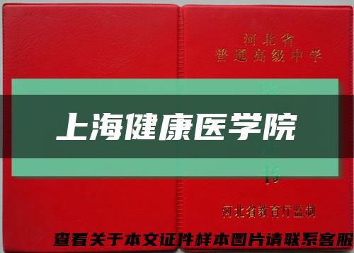 上海健康医学院缩略图