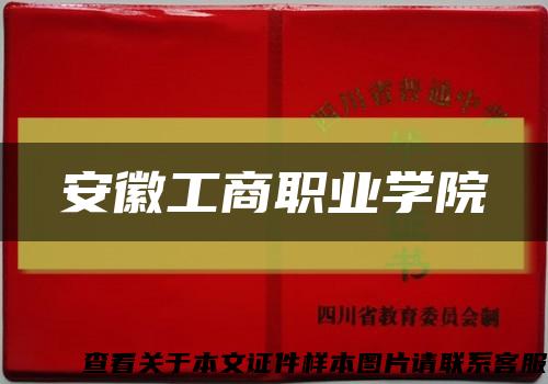安徽工商职业学院缩略图