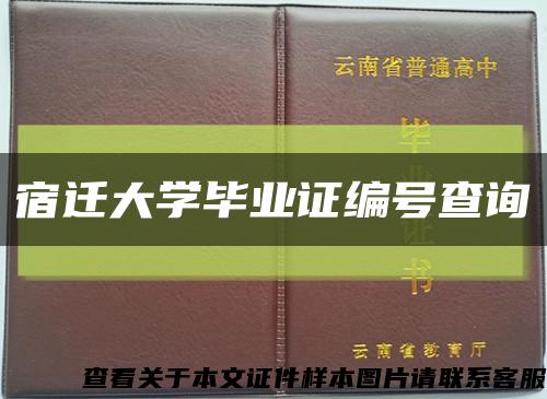 宿迁大学毕业证编号查询缩略图
