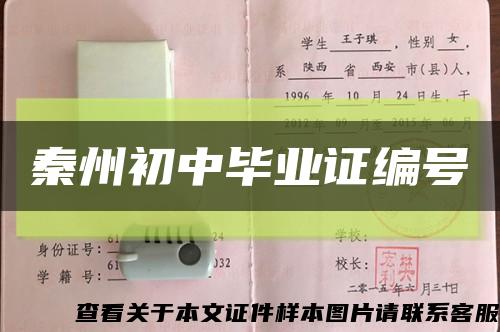 秦州初中毕业证编号缩略图