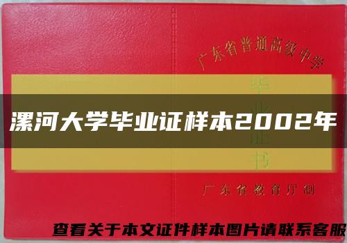 漯河大学毕业证样本2002年缩略图