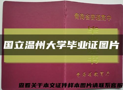 国立温州大学毕业证图片缩略图