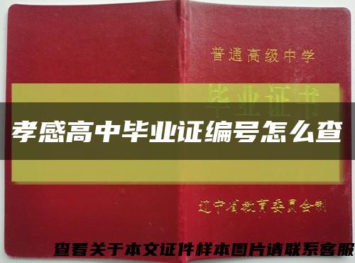 孝感高中毕业证编号怎么查缩略图