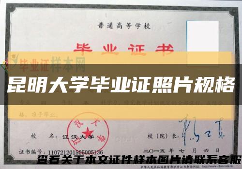 昆明大学毕业证照片规格缩略图