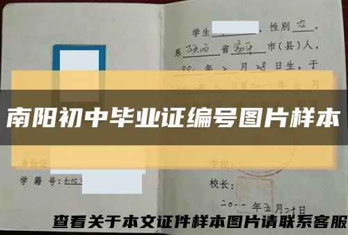 南阳初中毕业证编号图片样本缩略图