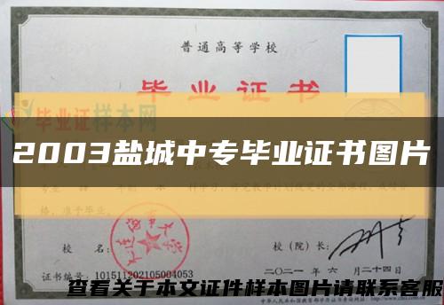 2003盐城中专毕业证书图片缩略图