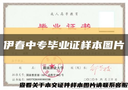 伊春中专毕业证样本图片缩略图