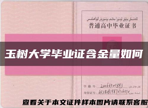 玉树大学毕业证含金量如何缩略图