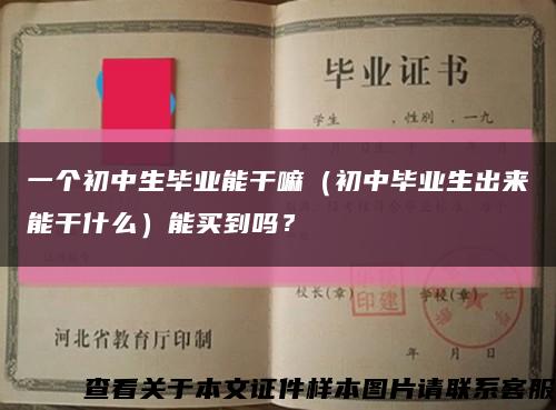 一个初中生毕业能干嘛（初中毕业生出来能干什么）能买到吗？缩略图