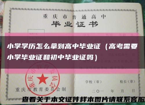 小学学历怎么拿到高中毕业证（高考需要小学毕业证和初中毕业证吗）缩略图