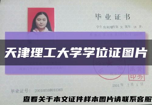 天津理工大学学位证图片缩略图