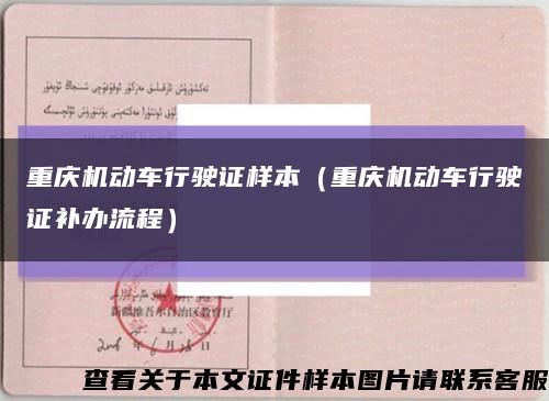 重庆机动车行驶证样本（重庆机动车行驶证补办流程）缩略图