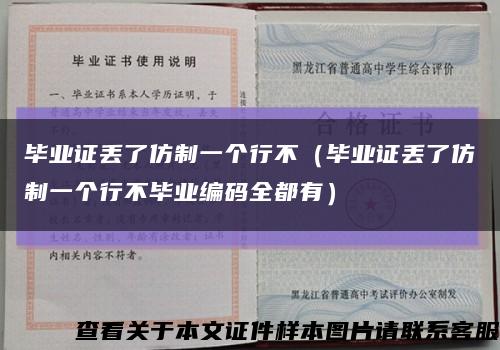 毕业证丢了仿制一个行不（毕业证丢了仿制一个行不毕业编码全都有）缩略图
