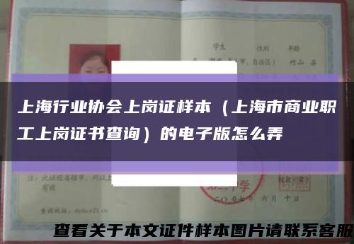 上海行业协会上岗证样本（上海市商业职工上岗证书查询）的电子版怎么弄缩略图