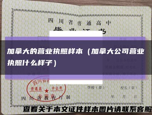 加拿大的营业执照样本（加拿大公司营业执照什么样子）缩略图