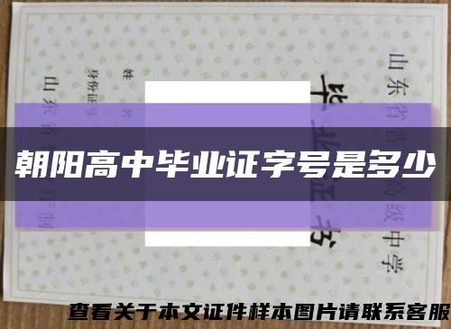 朝阳高中毕业证字号是多少缩略图
