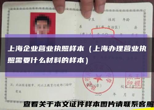 上海企业营业执照样本（上海办理营业执照需要什么材料的样本）缩略图