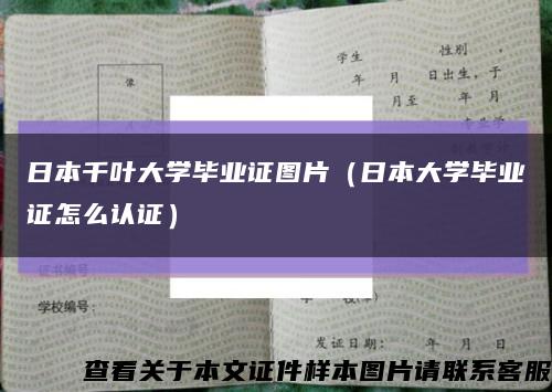日本千叶大学毕业证图片（日本大学毕业证怎么认证）缩略图