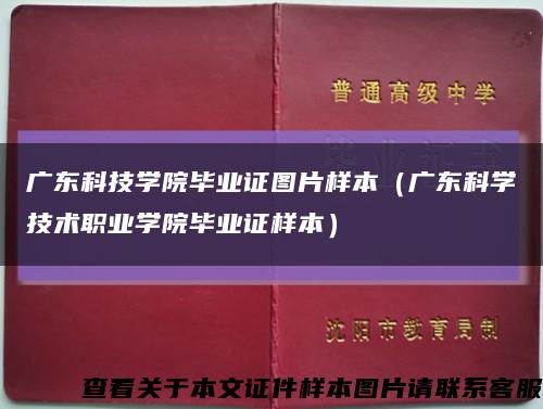 广东科技学院毕业证图片样本（广东科学技术职业学院毕业证样本）缩略图