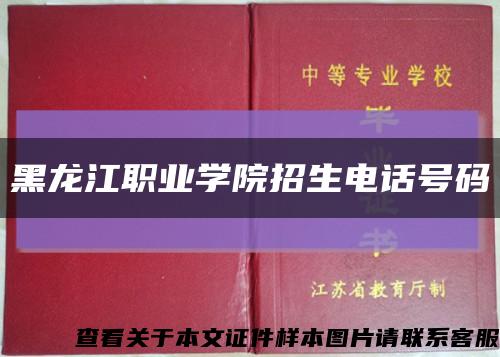 黑龙江职业学院招生电话号码缩略图