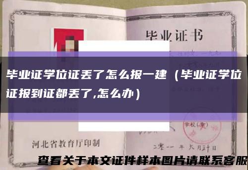 毕业证学位证丢了怎么报一建（毕业证学位证报到证都丢了,怎么办）缩略图