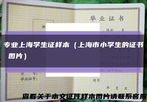 专业上海学生证样本（上海市小学生的证书 图片）缩略图