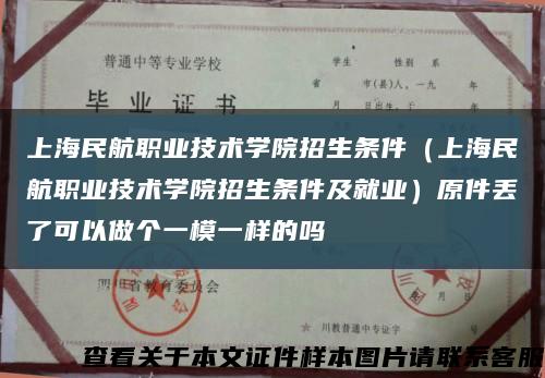 上海民航职业技术学院招生条件（上海民航职业技术学院招生条件及就业）原件丢了可以做个一模一样的吗缩略图
