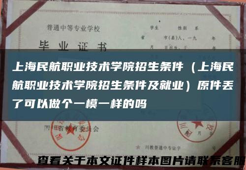 上海民航职业技术学院招生条件（上海民航职业技术学院招生条件及就业）原件丢了可以做个一模一样的吗缩略图