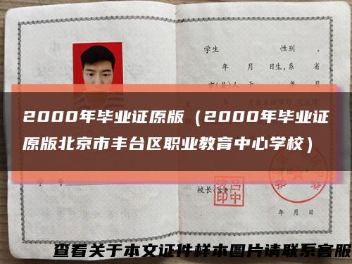 2000年毕业证原版（2000年毕业证原版北京市丰台区职业教育中心学校）缩略图
