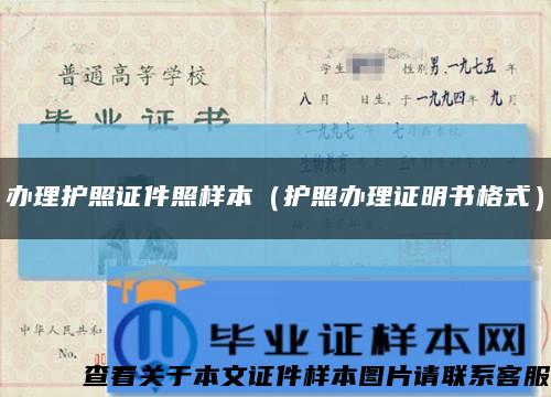 办理护照证件照样本（护照办理证明书格式）缩略图