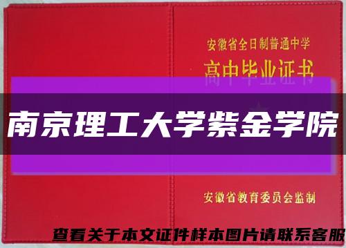 南京理工大学紫金学院缩略图
