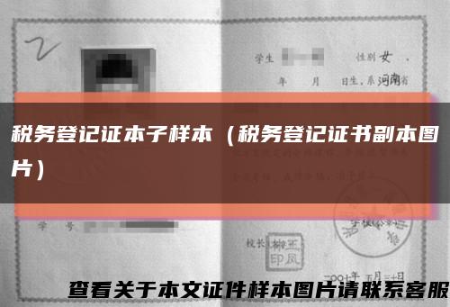 税务登记证本子样本（税务登记证书副本图片）缩略图