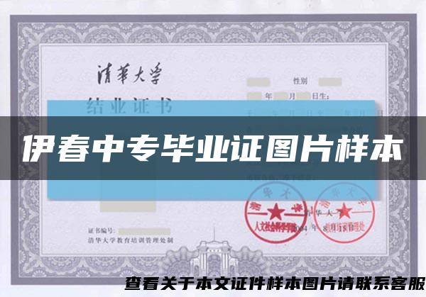 伊春中专毕业证图片样本缩略图