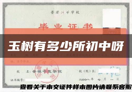 玉树有多少所初中呀缩略图