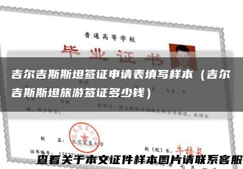 吉尔吉斯斯坦签证申请表填写样本（吉尔吉斯斯坦旅游签证多少钱）缩略图