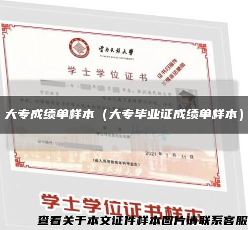 大专成绩单样本（大专毕业证成绩单样本）缩略图